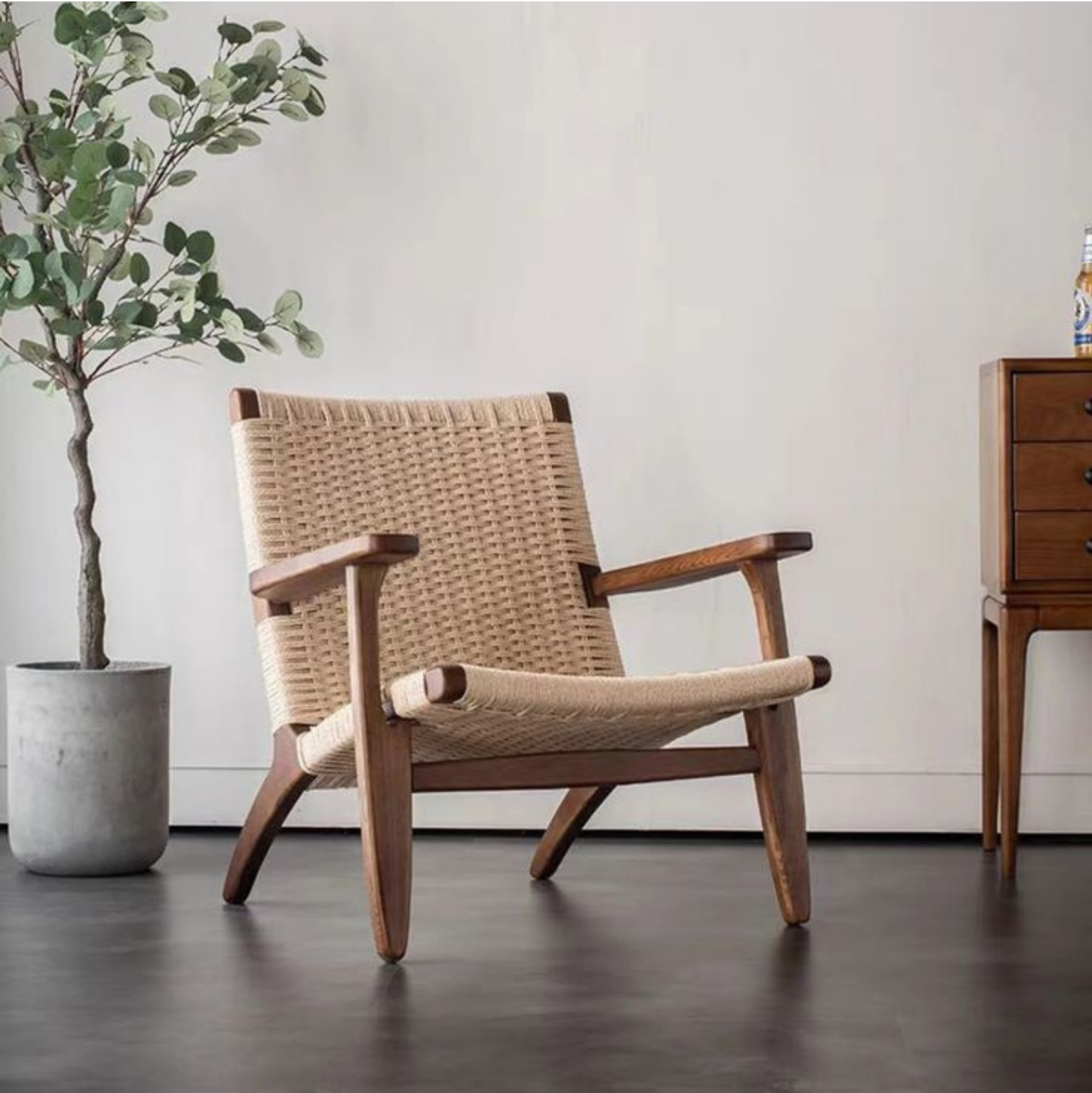 CH25 _ Lounge Chair (5)